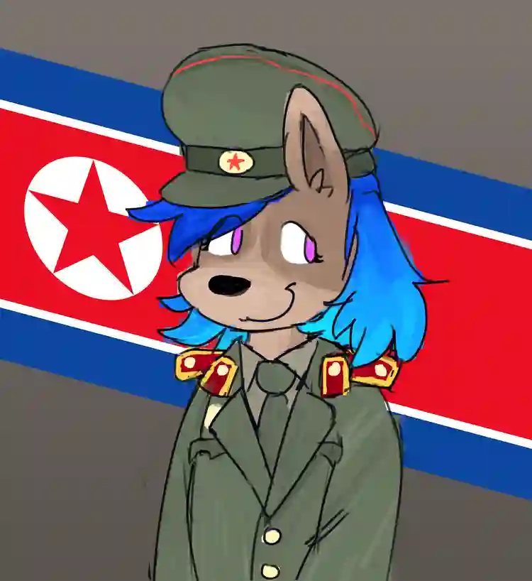 dprk.webp